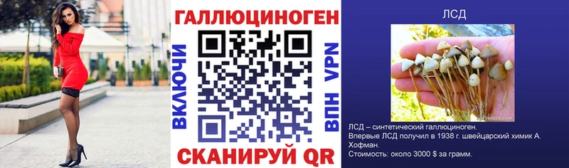 mega ссылки  Михайлов  Галлюциногенные грибы прущие грибы 